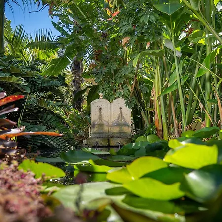 Hacienda De Abajo-adults Only-lujo Hotel