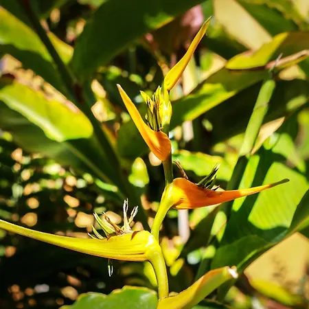 Hacienda De Abajo-adults Only-lujo 塔扎克蒂